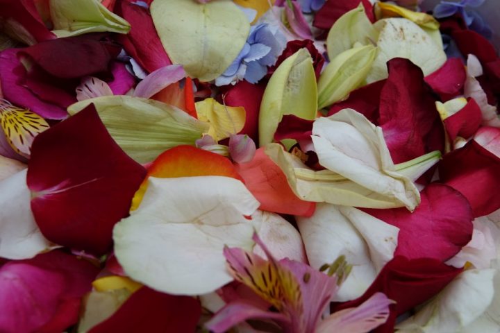 DSC04456 Custom Custom